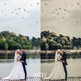 Wedding Collection- Pack of 25 Presets